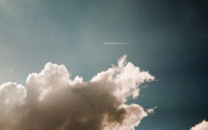 Item image caption here