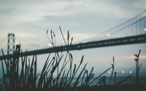 Customize everything